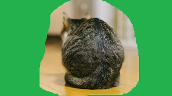 ペイントで透過したい部分を緑や青などで塗りつぶし