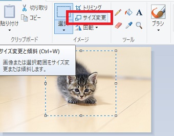 選択できたら上のメニューの「サイズ変更」をクリック