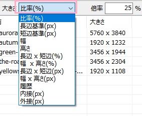 リサイズ方法を指定