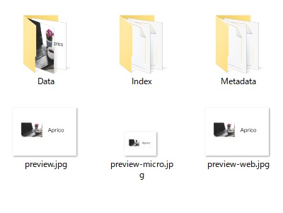 フォルダ内を見ると、各種ファイル・フォルダが確認