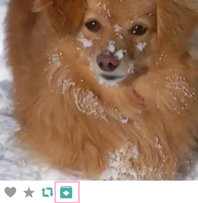 ダウンロードボタンをタップ