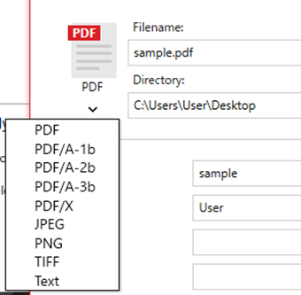 変換する形式の表示から選択