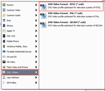 DVD, Others」を選択して、「DVD-video Format - NTFC」をクリック