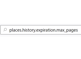 検索フォームに「places.history.expiration.transient_current_max_pages」と入力