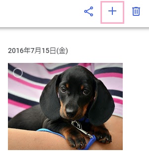 「+」ボタンをクリック