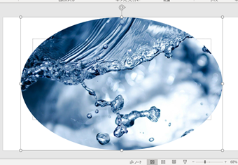 丸くトリミングされた画像