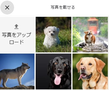 写真・画像を選択する