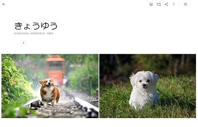 Googleフォトの共有フォルダ