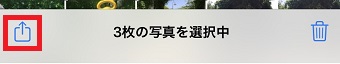写真を選択したら左下の共有ボタンをタップ
