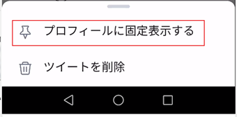 [プロフィールに固定表示する]をタップ