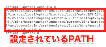 ターミナルでPATHを出力した結果