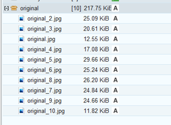 重複を回避してダウンロード