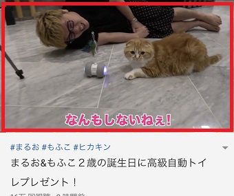 YouTubeの公式アプリで動画を開き動画の画面をタップ