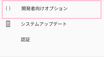 開発者向けオプション