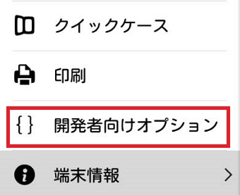 「開発者向けオプション」をタップ