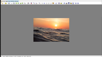 画像がフルサイズで表示された画面