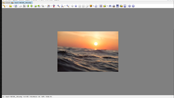 画像をフルサイズ表示した画面