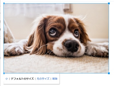 画像・写真が添付されたメール