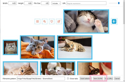 画像ダウンロードを行いたいWebサイトで拡張機能アイコンをクリック