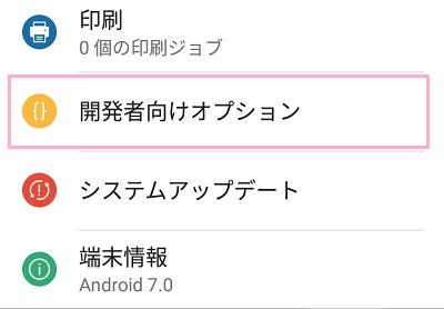 「開発者向けオプション」項目