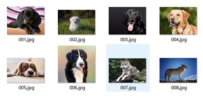 リネームしたファイルを確認