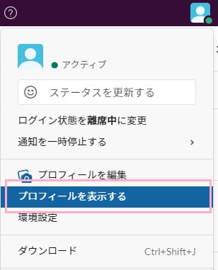 プロフィールアイコンをクリックしてメニューを開き、「プロフィールを表示する」をクリック