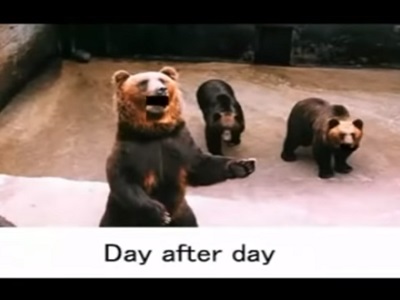 Flashコンテンツ