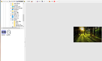 フォルダツリーから画像ファイルを選択