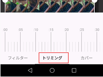 トリミングの項目