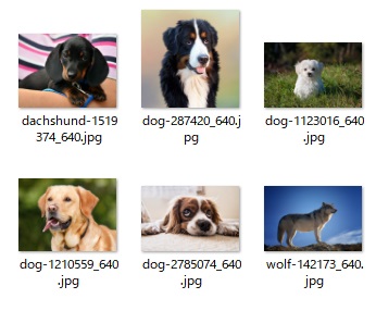 サムネイルのフォルダ