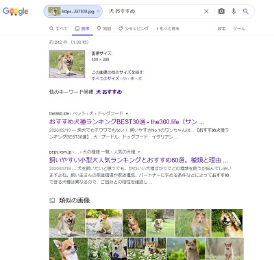 類似画像の検索画面