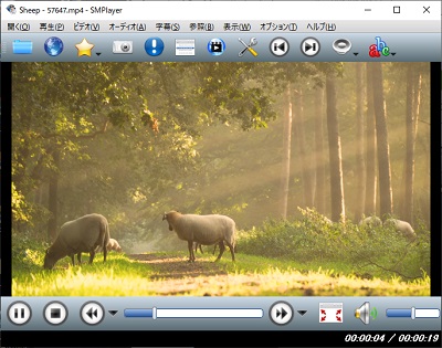 SMPlayerがアクティブの状態で「Sキー」を押す