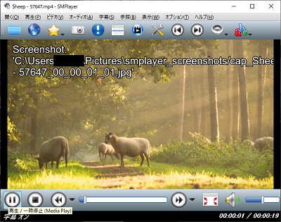 「Screenshot（パス）」のメッセージ