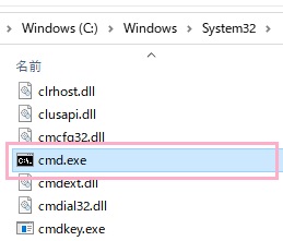 cmd.exe