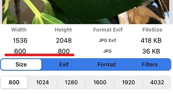 『Width』と『Height』を変更する