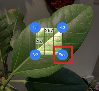 切り取り編集画面の『Free』をタップしながらサイズを調整