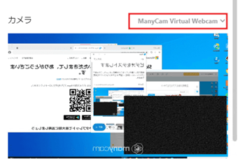 [ManyCam Video Source]を選択