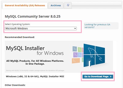 「Select Operating System」のプルダウンメニューが「Microsoft Windows」になっていることを確認し「Go To Download Page」をクリック
