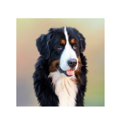 画像メニュー例