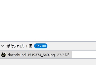 ファイルが表示されているか確認