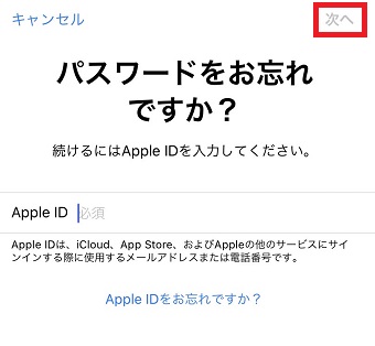 自分のApple IDを入力し『次へ』をタップ