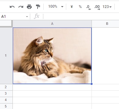 セルにぴったり画像が埋め込まれた