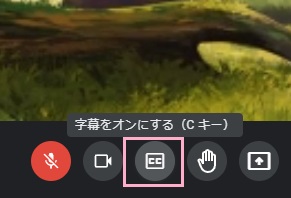 「字幕をオンにする」ボタンをクリック