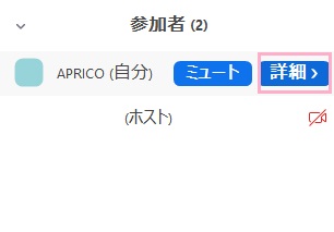 「詳細」ボタンをクリック