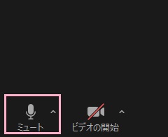 「ミュート」ボタンをクリック