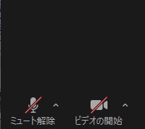 マイクのボタンに赤色の斜線が引かれ、ボタンの下部に「ミュート解除」と表示されていればミュート中