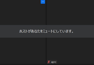 ミュートされたユーザーの表示画面