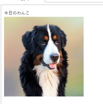 メールに貼り付けた画像