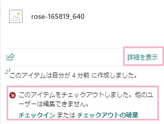 「詳細を表示」をクリックするとチェックアウトしているユーザーを確認できる