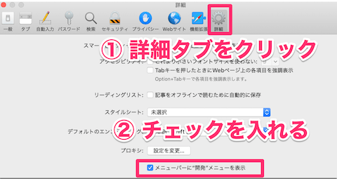 詳細→「メニューバーに"開発"メニューを表示」にチェックを入れる